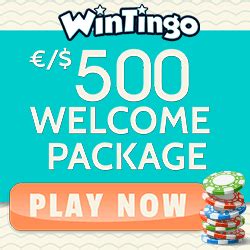 wintingo casino|bingo casino online.
